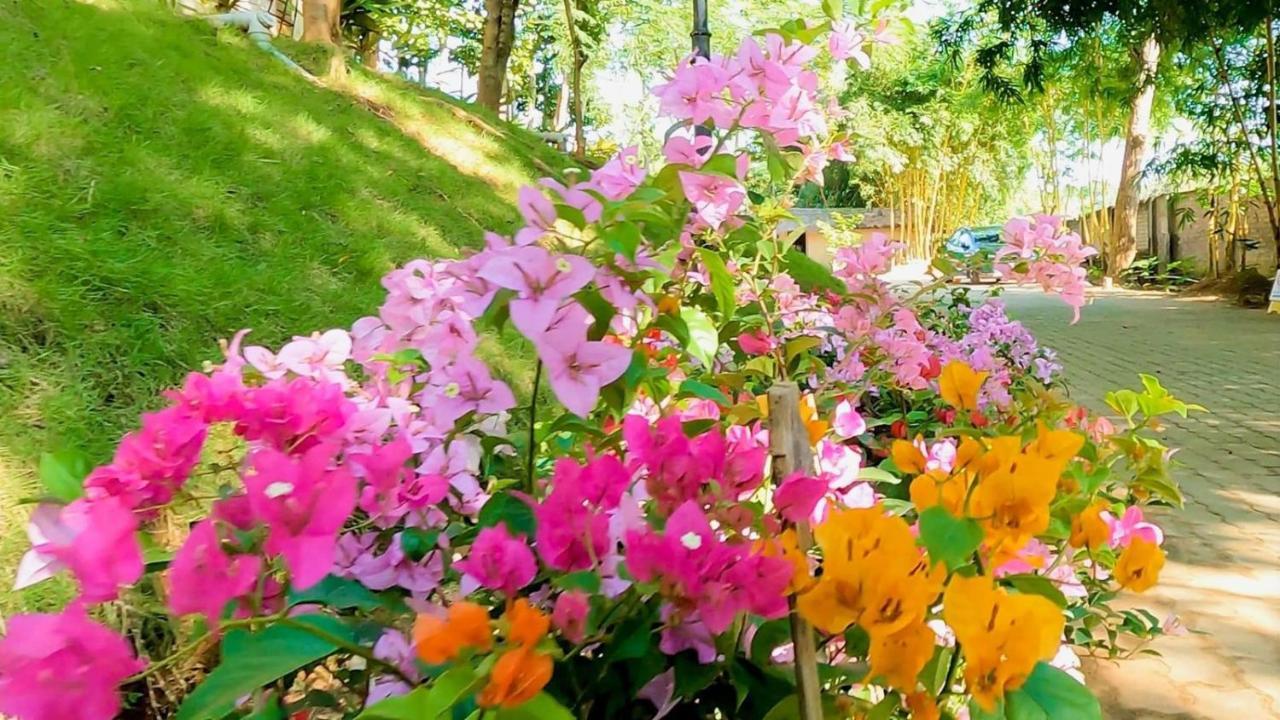 Bougainvillea Retreat & Spa Kaharpara 외부 사진