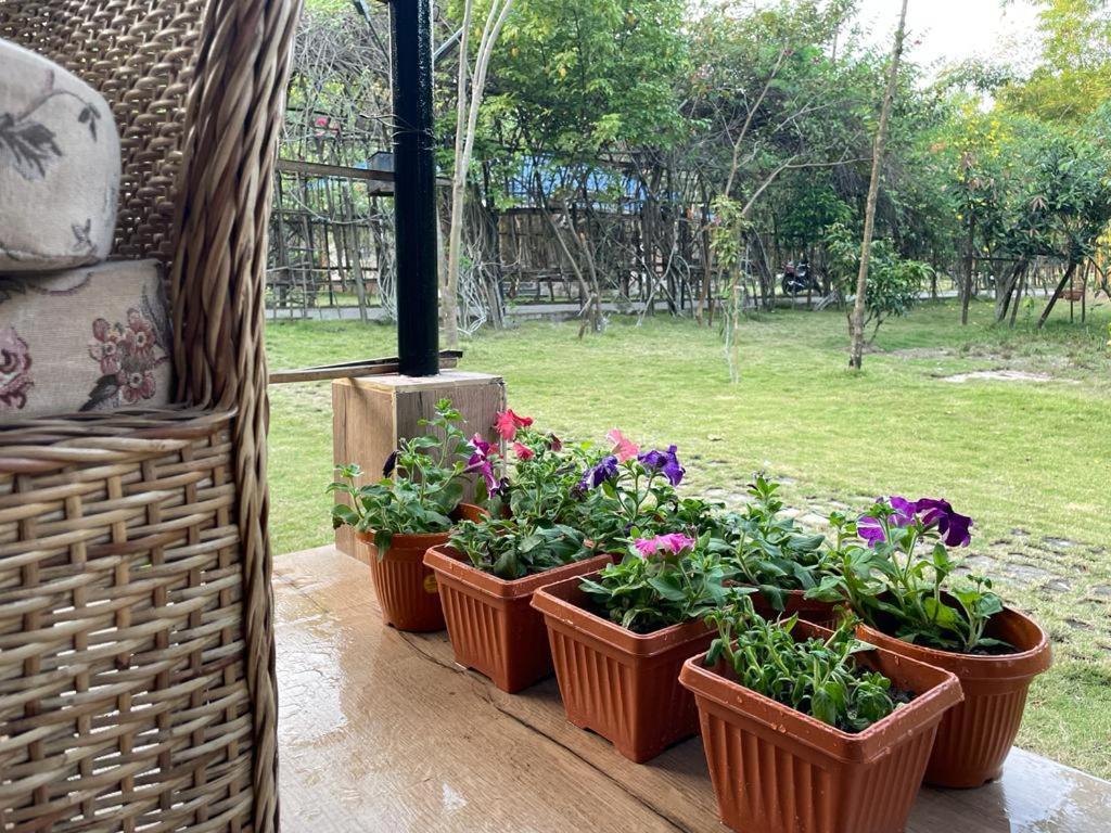 Bougainvillea Retreat & Spa Kaharpara 외부 사진