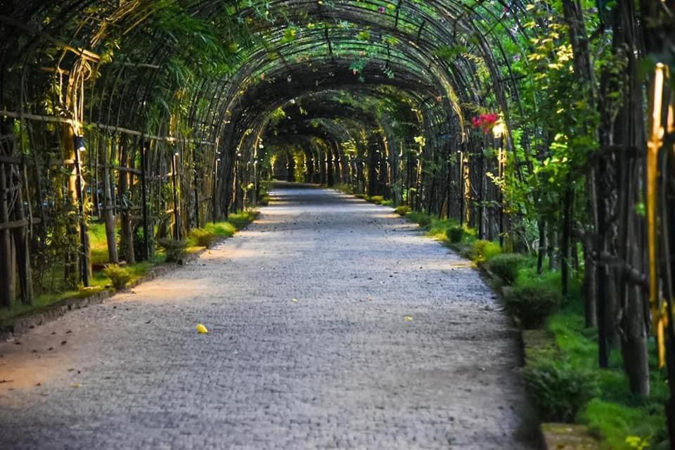 Bougainvillea Retreat & Spa Kaharpara 외부 사진